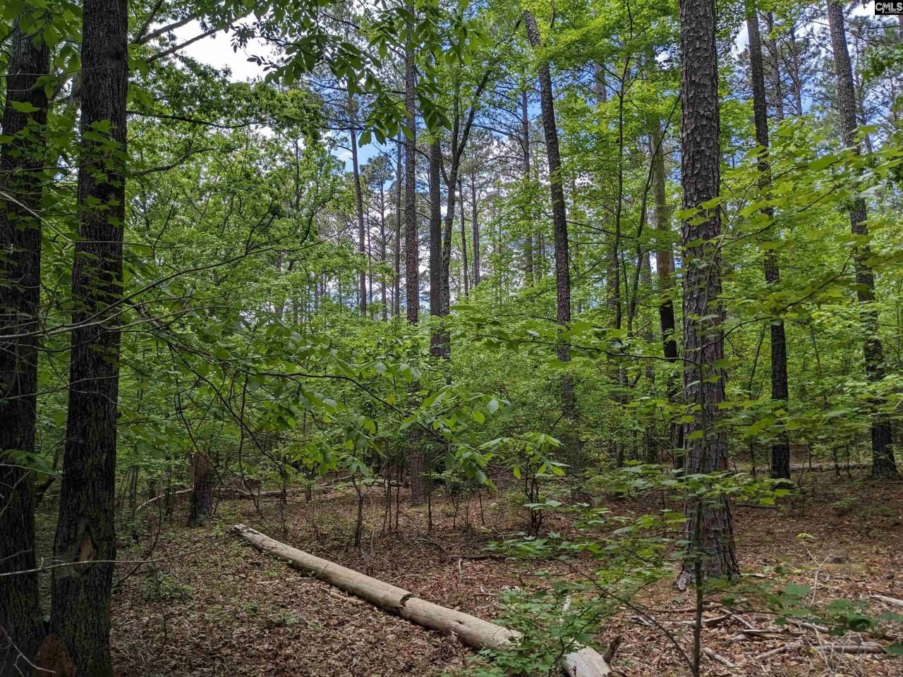 489 Syrup Mill Road Photo 29