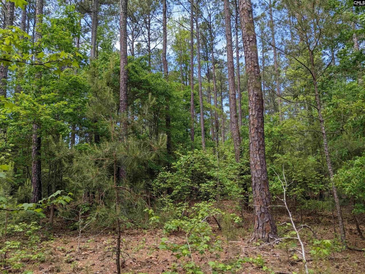 489 Syrup Mill Road Photo 30