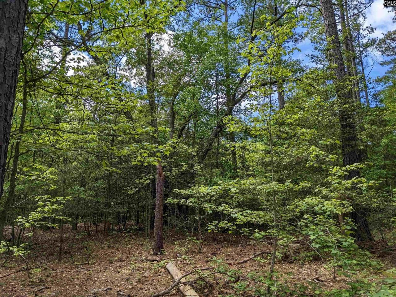 489 Syrup Mill Road Photo 31