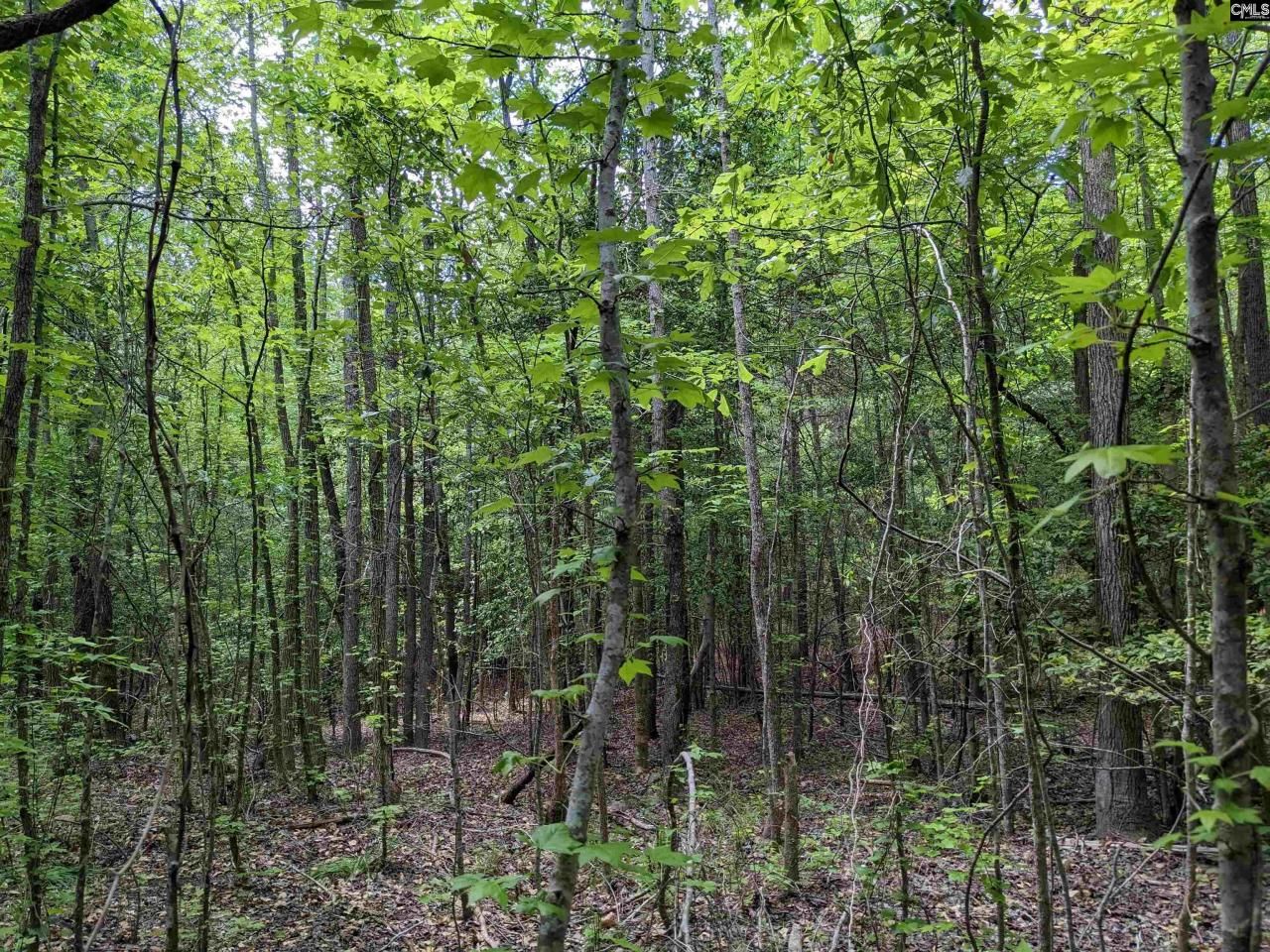 489 Syrup Mill Road Photo 32