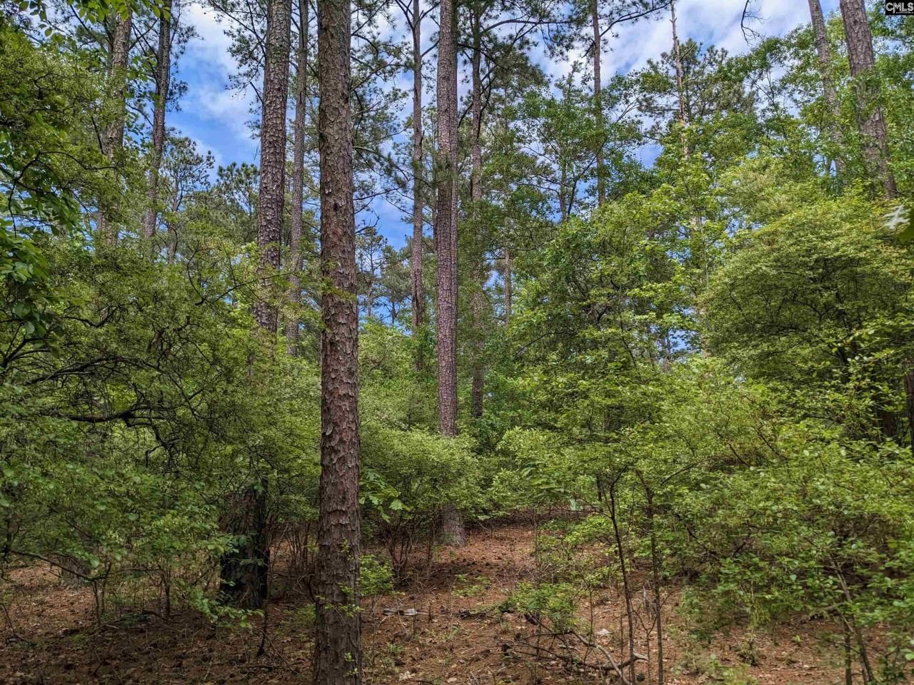 489 Syrup Mill Road Photo 4