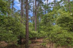 489 Syrup Mill Road photo 4