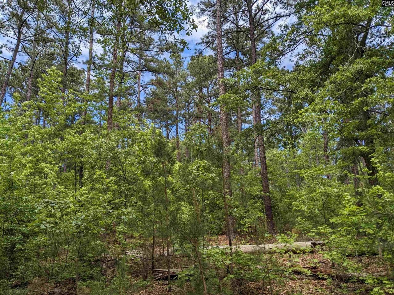 489 Syrup Mill Road Photo 5