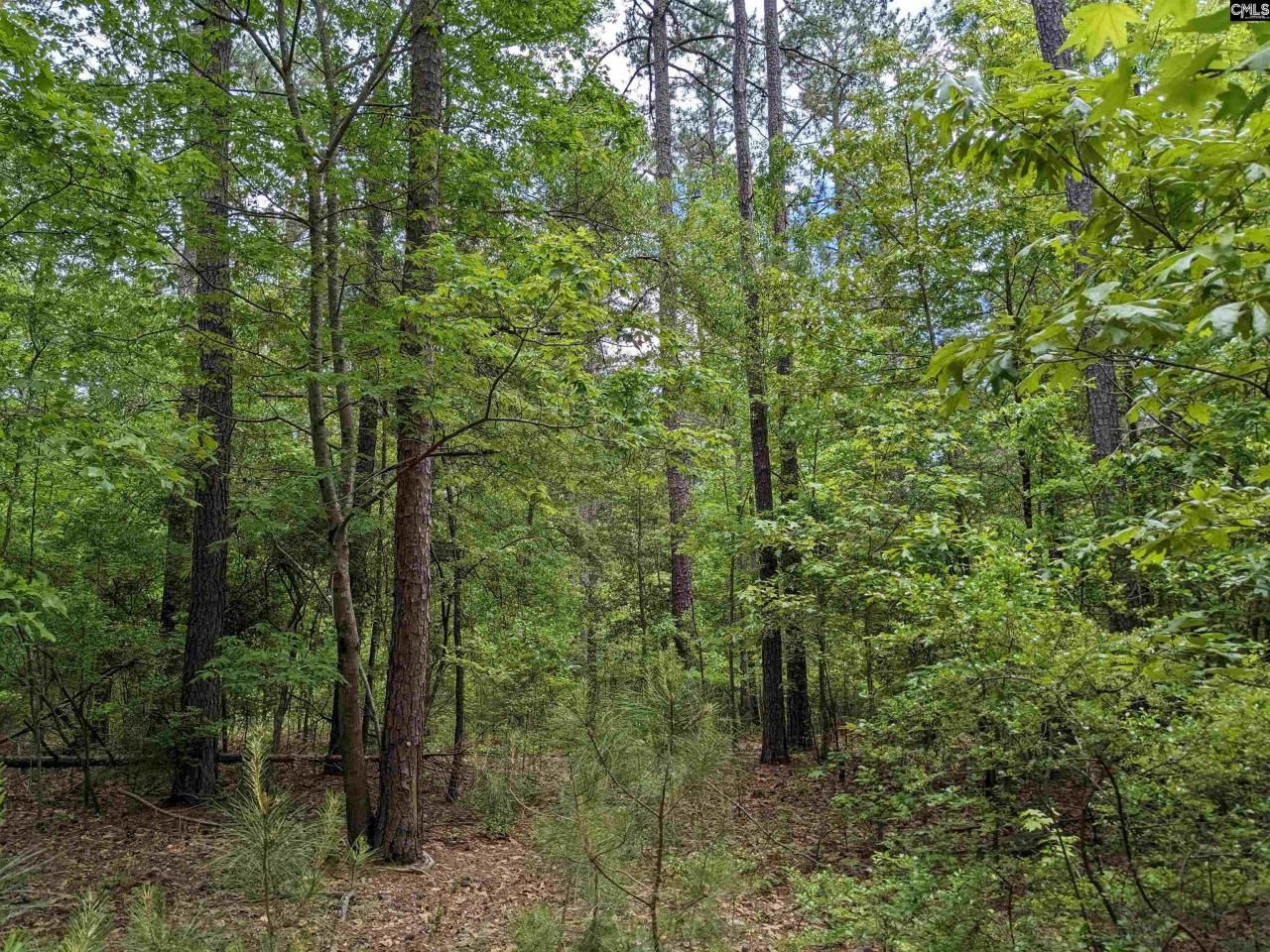 489 Syrup Mill Road Photo 6