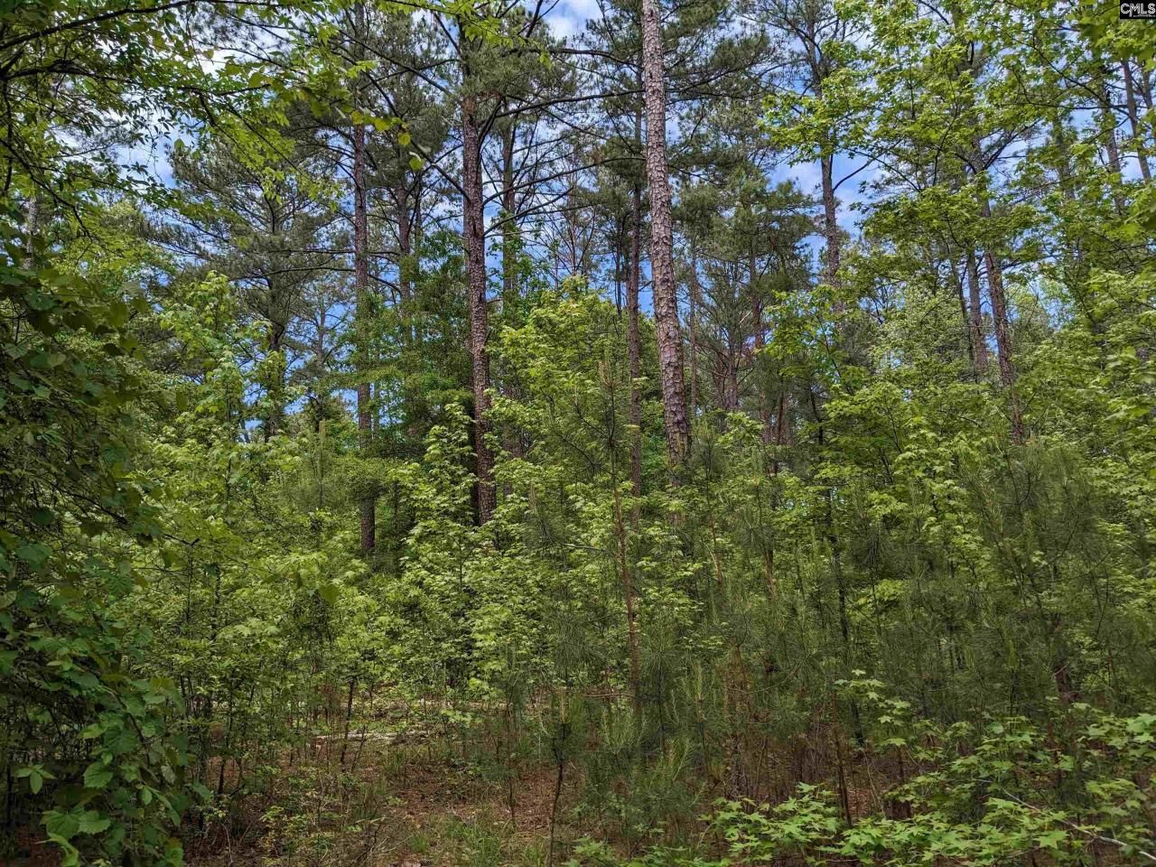 489 Syrup Mill Road Photo 7