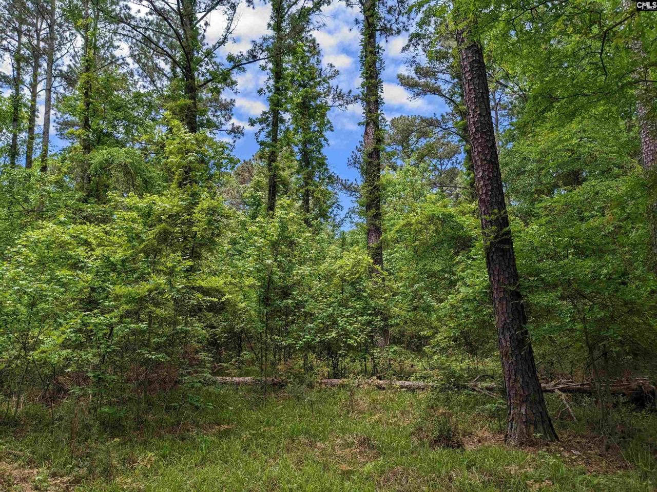 489 Syrup Mill Road Photo 8