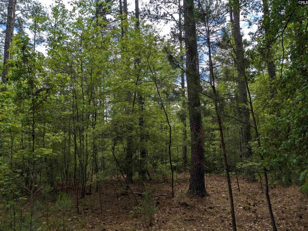 489 Syrup Mill Road Photo 9