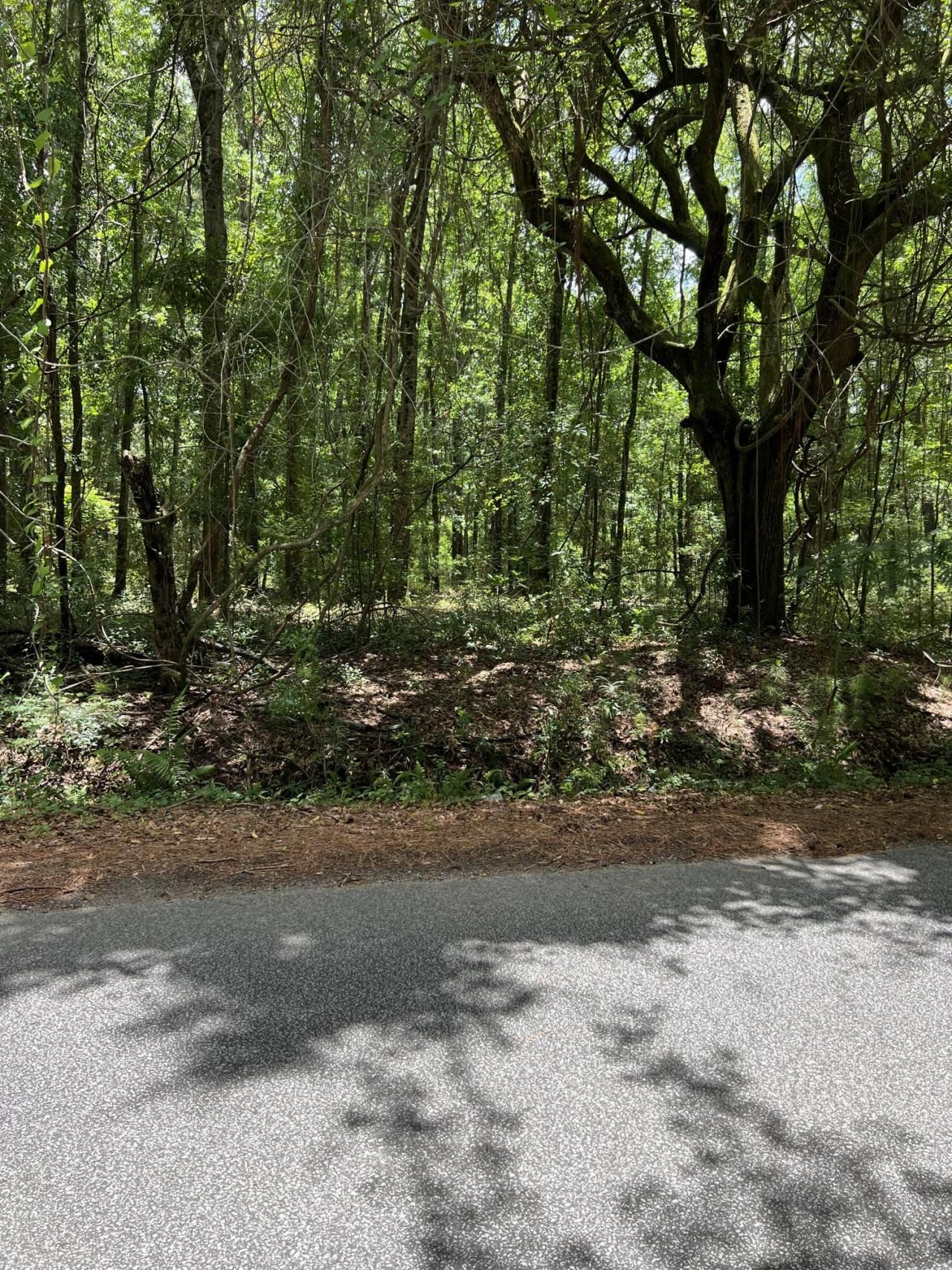 00 Cane Slash Road Photo 1