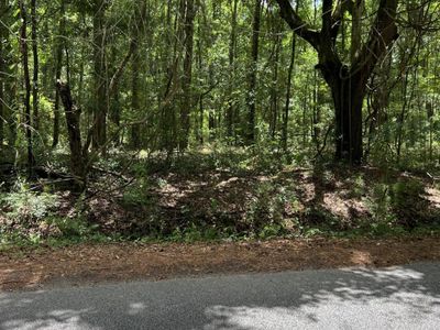 00 Cane Slash Road, Charleston, SC 29401