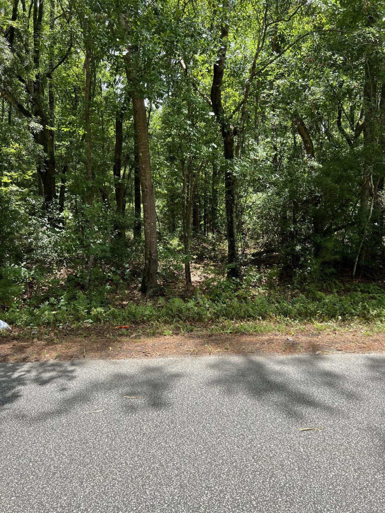 00 Cane Slash Road Photo 2