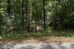 00 Cane Slash Road photo 4