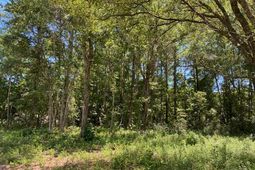 7214 Raw Dew Lane photo 4