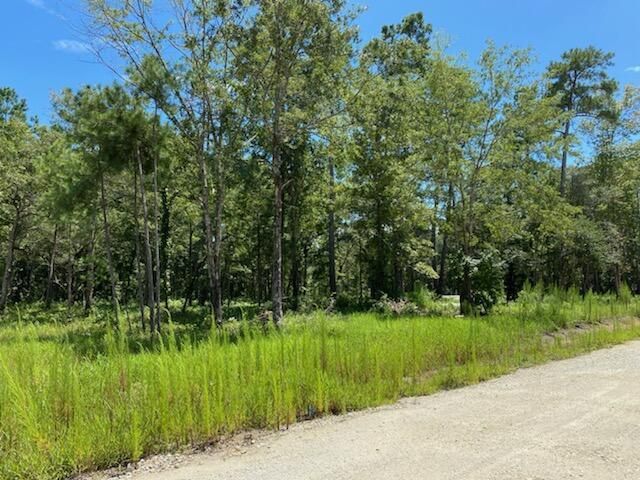 7214 Raw Dew Lane Photo 3