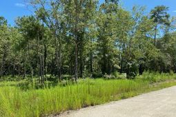 7214 Raw Dew Lane photo 4