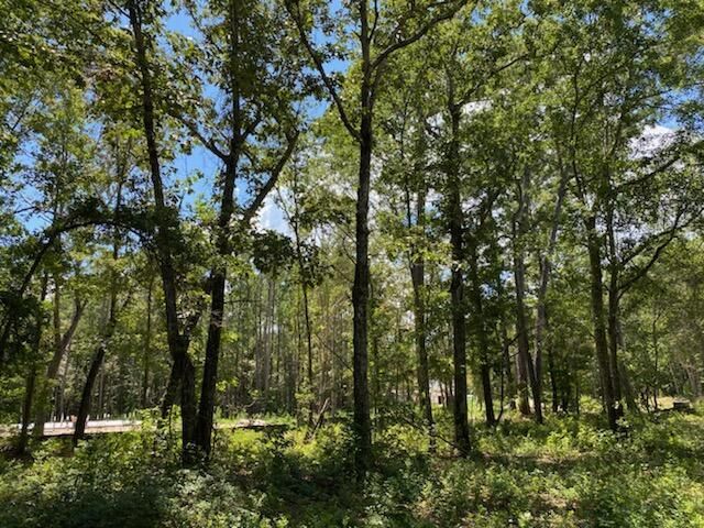 7214 Raw Dew Lane Photo 4