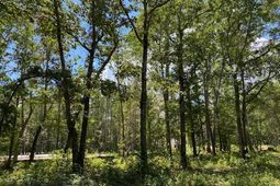 7214 Raw Dew Lane photo 4