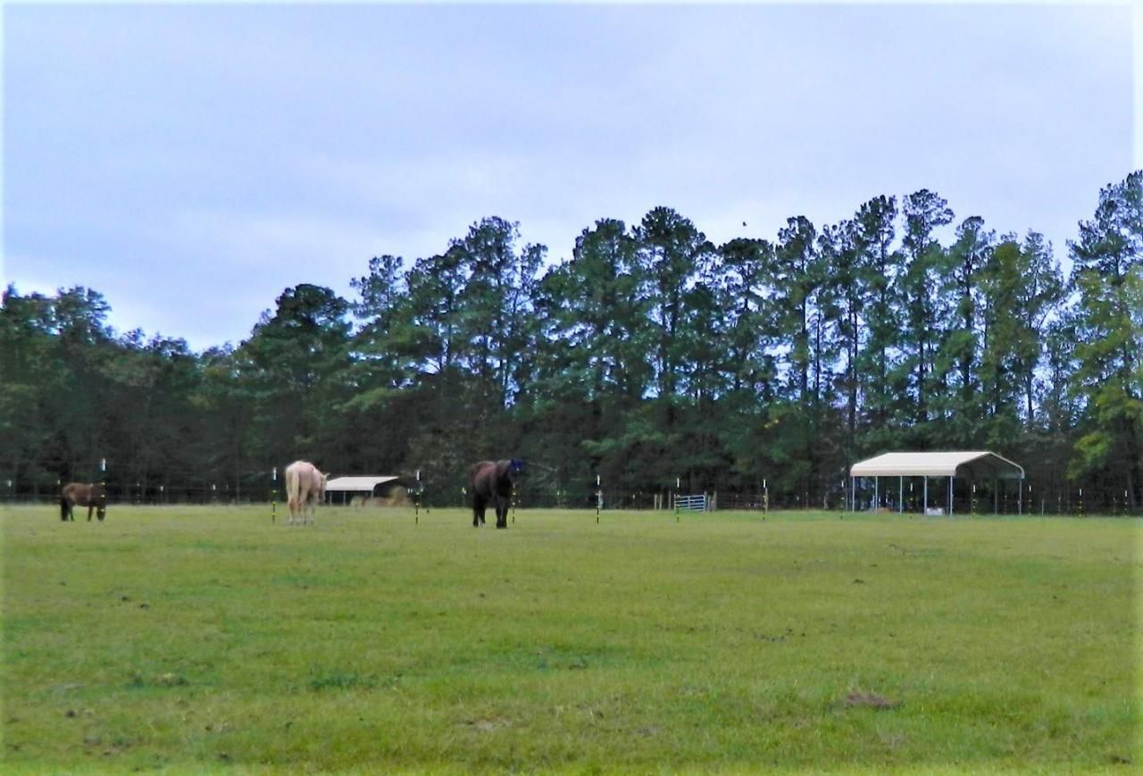 1044 Eagle Harbor Lane Photo 12