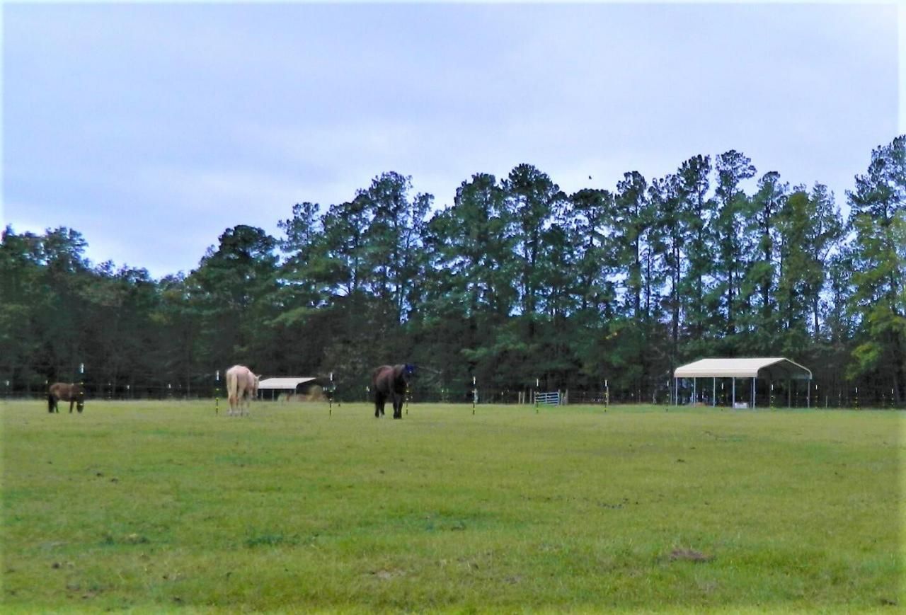 1044 Eagle Harbor Lane Photo 13