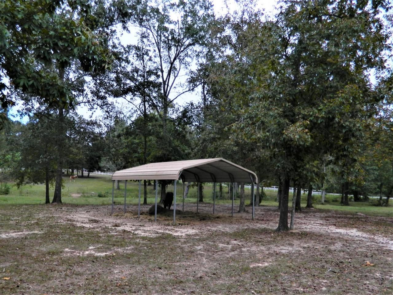 1044 Eagle Harbor Lane Photo 14