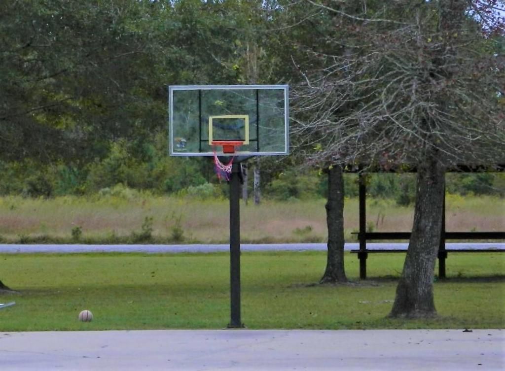 1044 Eagle Harbor Lane Photo 5