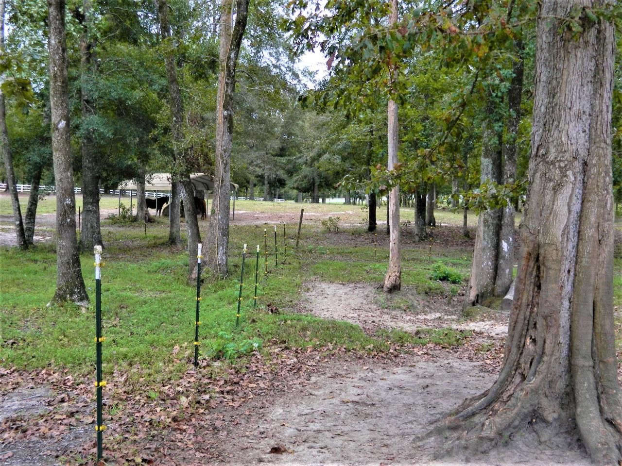 1044 Eagle Harbor Lane Photo 9