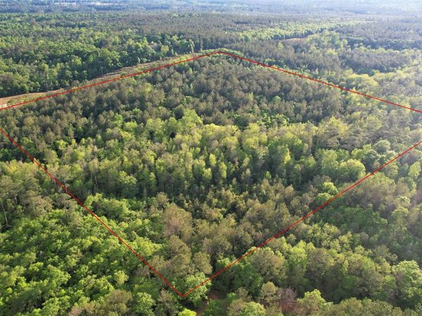 0 Pleasant Hill Road, Century, FL 32535