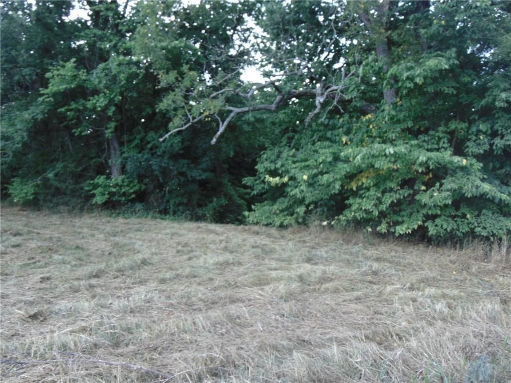 County Rd 8534, Green Forest, AR 72638 Main Photo
