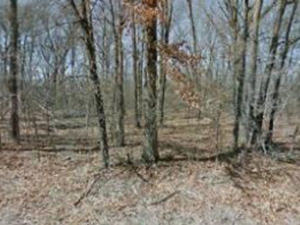 lot 7, blk 4 Dirleton Drive, Bella Vista, AR 72715