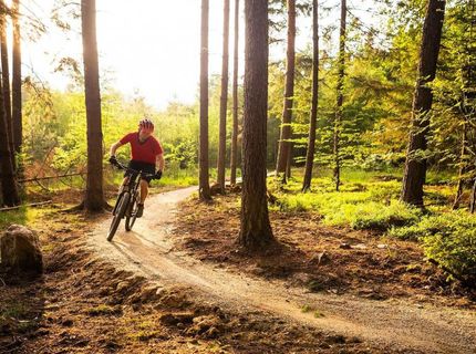 262 Swifts Station Drive, Carson City, NV 89705 Photo