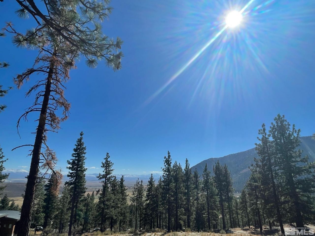 262 Swifts Station Drive, Carson City, NV 89705 Photo