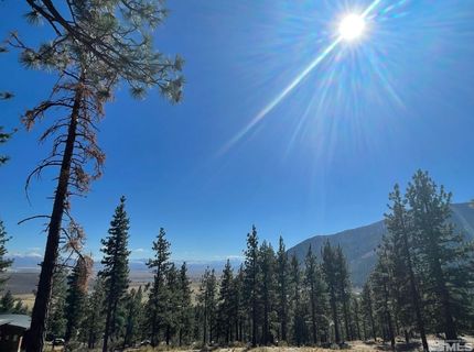 262 Swifts Station Drive, Carson City, NV 89705 Photo