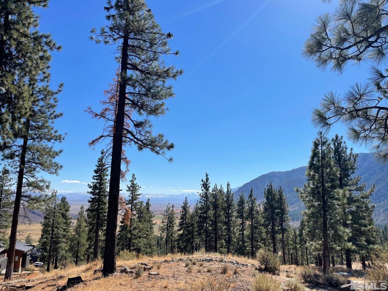 262 Swifts Station Drive, Carson City, NV 89705 Photo