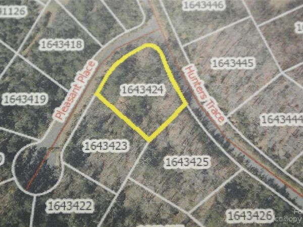 Lot 126 Pleasant Place, Rutherfordton, NC 28139