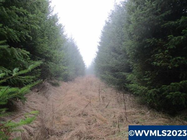 00 Buck Hollow Rd, Sheridan, OR 97378