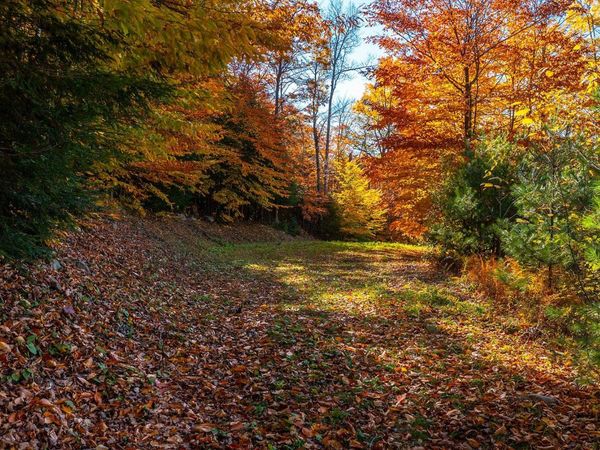 37 Low Road, Hanover, NH 03755