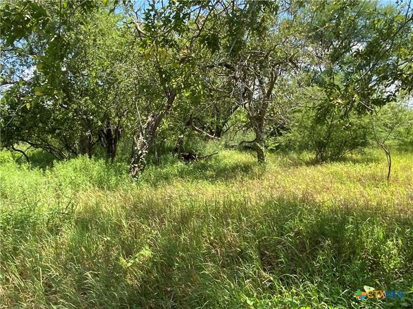 3 CR 1144, Unit 3, Sinton, TX 78387