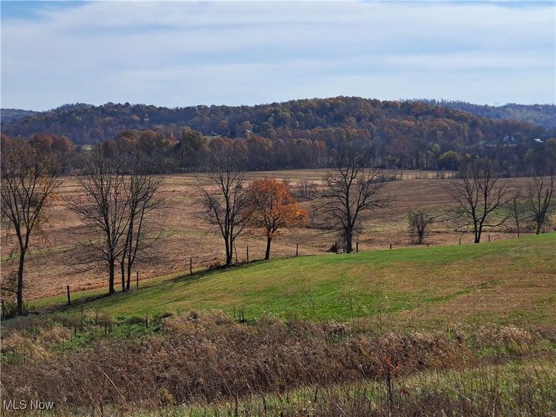 19510 Leatherwood Road, Salesville, OH 43778 Photo 33