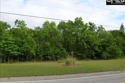 0 Rimer Pond Road photo 4