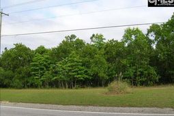 0 Rimer Pond Road photo 4