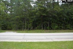 0 Rimer Pond Road photo 4