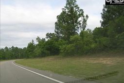 0 Rimer Pond Road photo 4