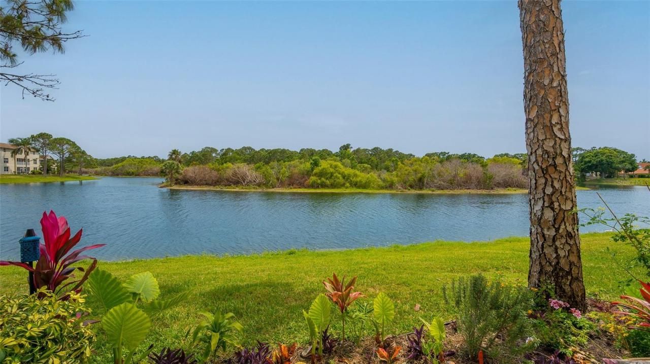 8350 Wingate Drive, Unit 913, Sarasota, FL 34238 Photo