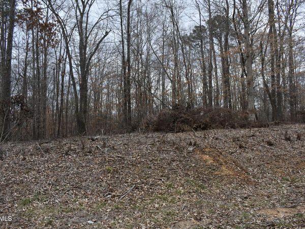 Lot 10 Jones Ridge Rd, Speedwell, TN 37870