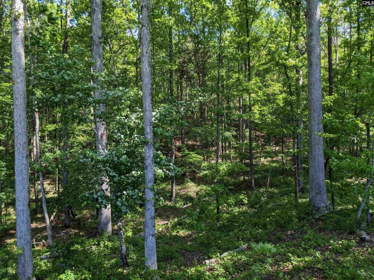 0 Minger Road Photo 12