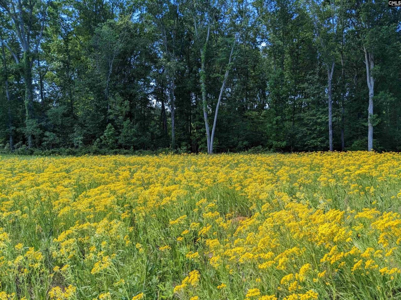 0 Minger Road Photo 13