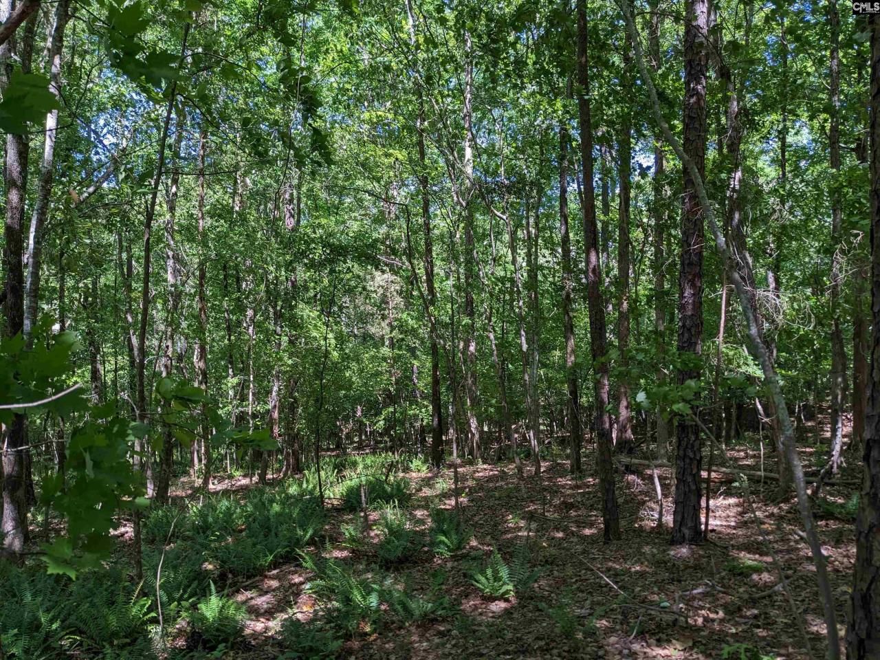 0 Minger Road Photo 14