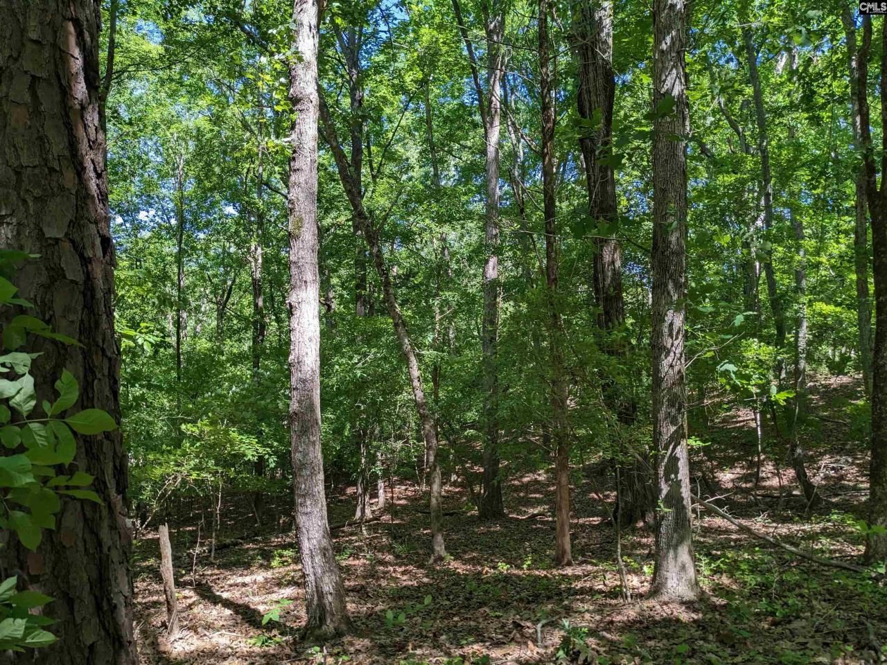 0 Minger Road Photo 15