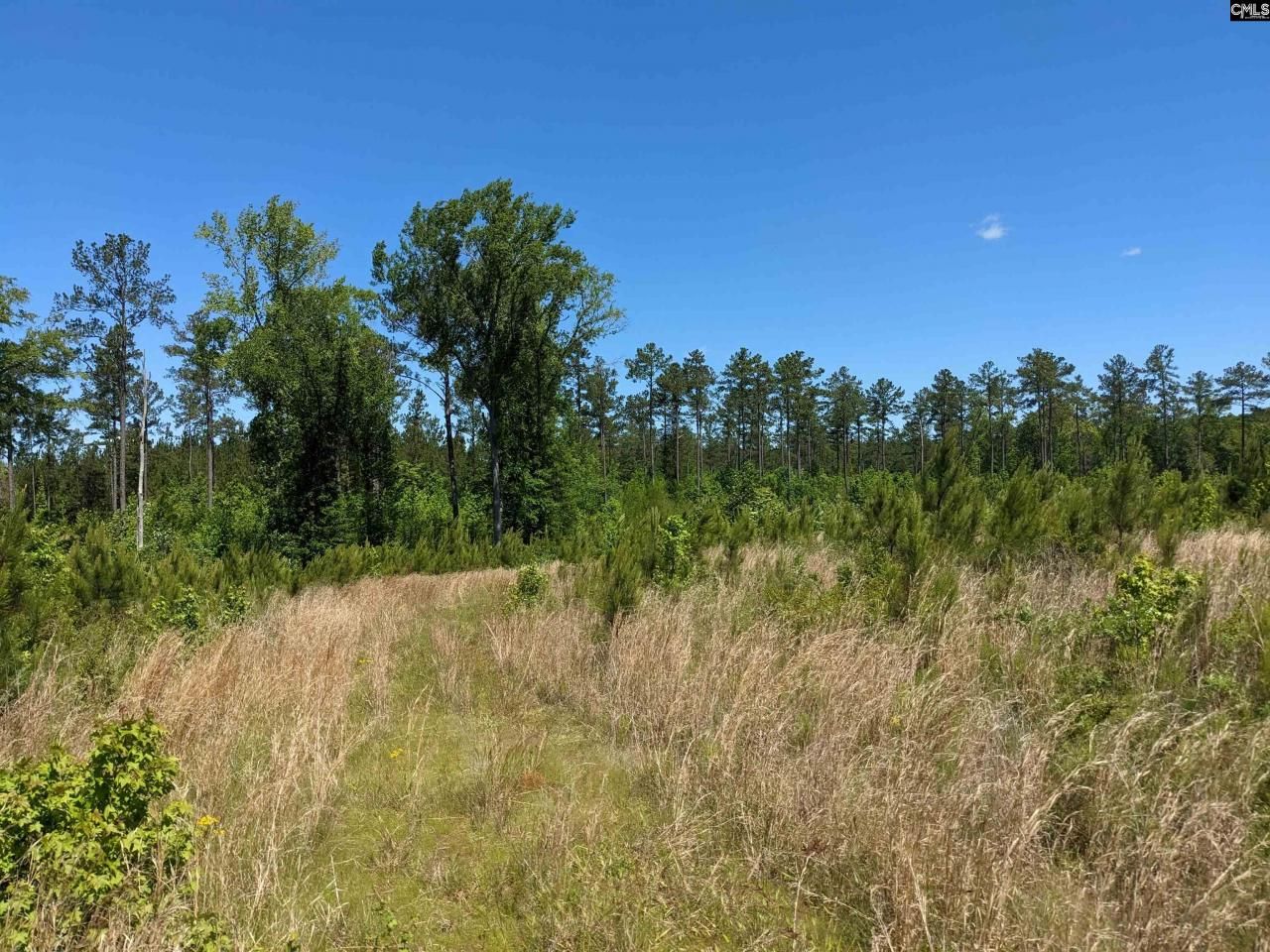 0 Minger Road Photo 18