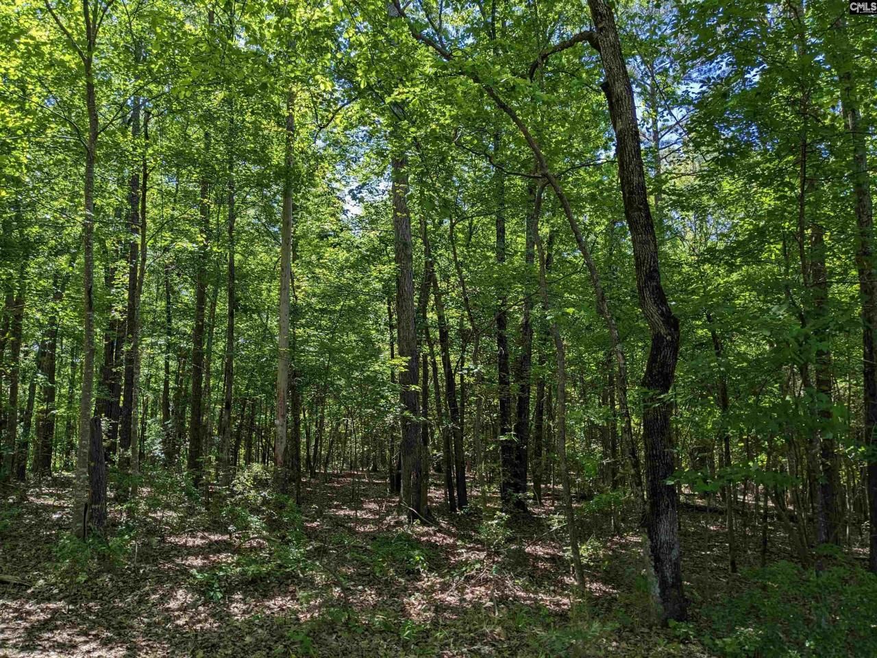 0 Minger Road Photo 19