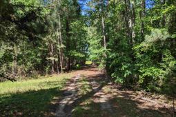 0 Minger Road photo 4